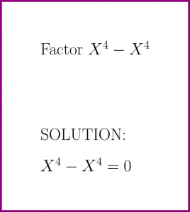 Factor X^4 - X^4 (problem with solution)